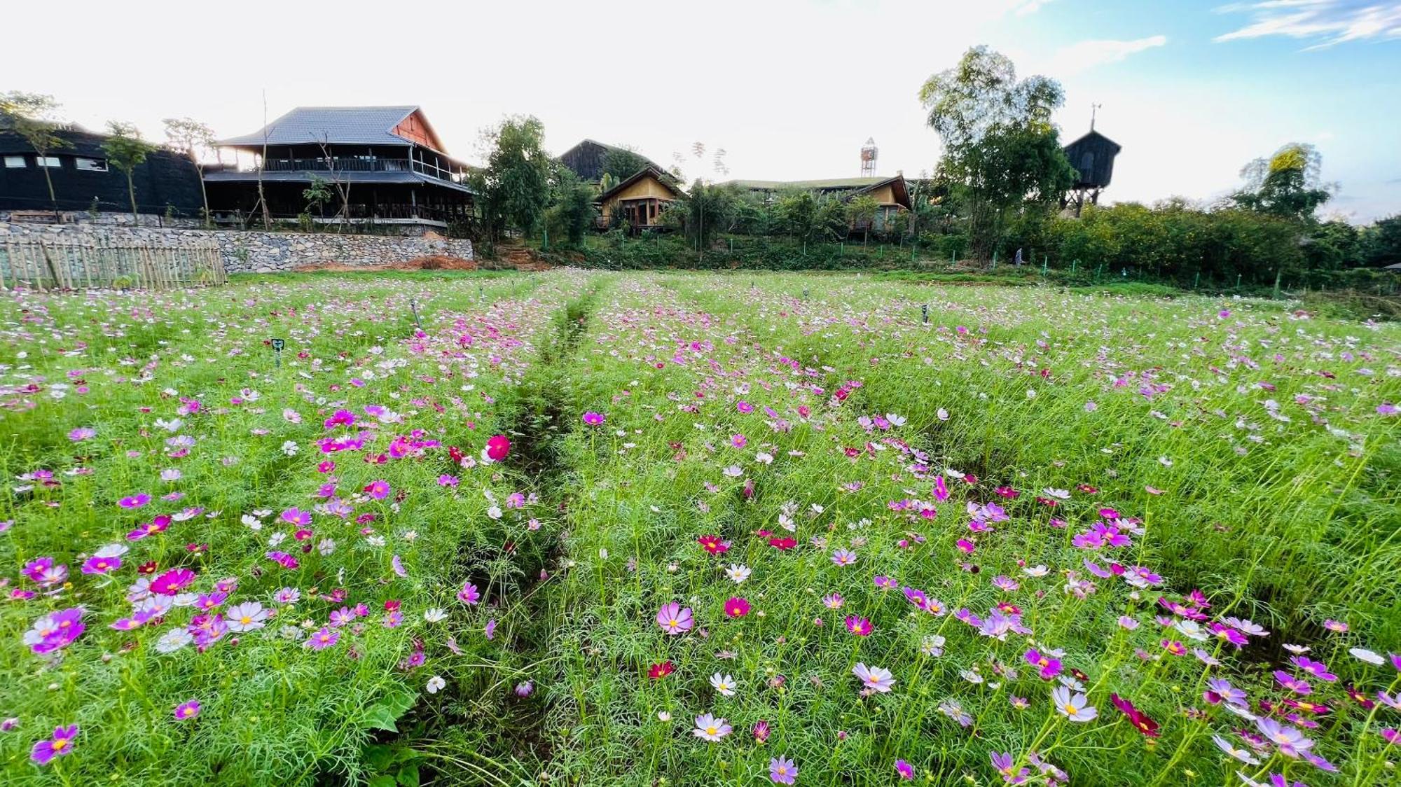 Satoyama Village Luong Son (Hoa Binh) Exterior foto